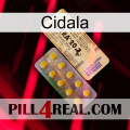 Cidala new06